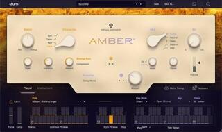 VST Instrument UJAM Amber 2 (Prodotto digitale)
