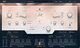 VST Instrument UJAM Silk 2 (Produs digital)