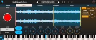 VST Instrument BLEASS SampleWiz 2 (Digital product)
