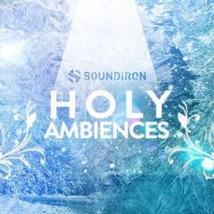 Biblioteca de samples/sons Soundiron Holy Ambiences (Produto digital)