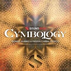 Sample/Sound Library Soundiron Cymbology (Digital product)