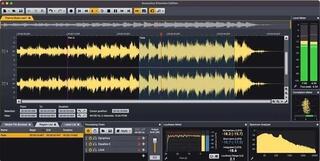 Mastering softver Acon Digital Acoustica Standard Edition 7.x (Digitalni proizvod)