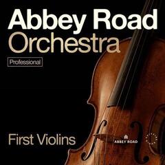 Бібліотека звуків для семплера Spitfire Audio Abbey Road Orchestra: 1st Violins Professional (Цифровий товар)