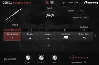 Sample/Sound Library Steinberg Iconica Sections & Players (Digital product)