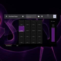 Plug-Ins Software e Processori Effetti AIR Music Tech Flex Beat (Prodotto digitale)