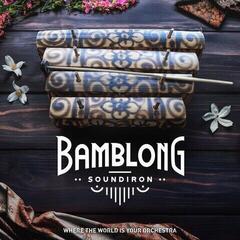 Sample/Sound Library Soundiron Bamblong (Digital product)