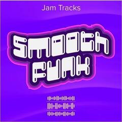 Sample/Sound Library Roland Smooth Funk (Digital product)