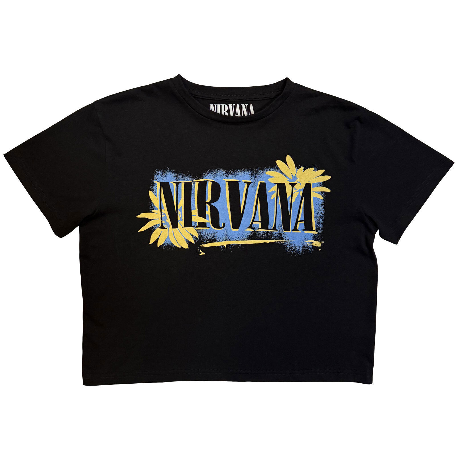 T-särk Nirvana All Apologies (Back Print) Black S Naiste T-särk
