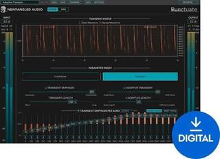 Plug-Ins Software e Processori Effetti Newfangled Punctuate (Prodotto digitale)