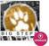 Update / Upgrade / Expansion XHUN Audio Big Steps expansion (Digitalni izdelek)