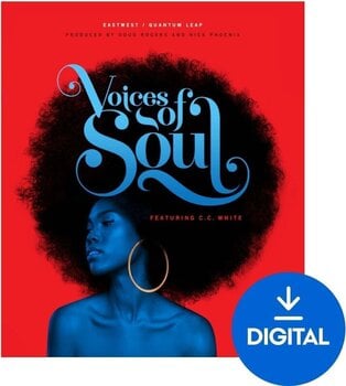 VST Instrument EastWest Sounds VOICES OF SOUL (Digitalni izdelek) - 1