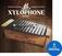 Sample/Sound Library Soundiron Alto Xylophone (Digital product)