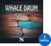 Zvočna knjiga za sampler Soundiron Whale Drum (Digitalni izdelek)