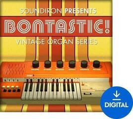 Sample/Sound Library Soundiron Bontastic! (Digital product)