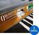 Zvočna knjiga za sampler Soundiron Organetta (Digitalni izdelek)