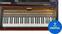 VST Instrument Martinic Pianet T (Digitalni izdelek)
