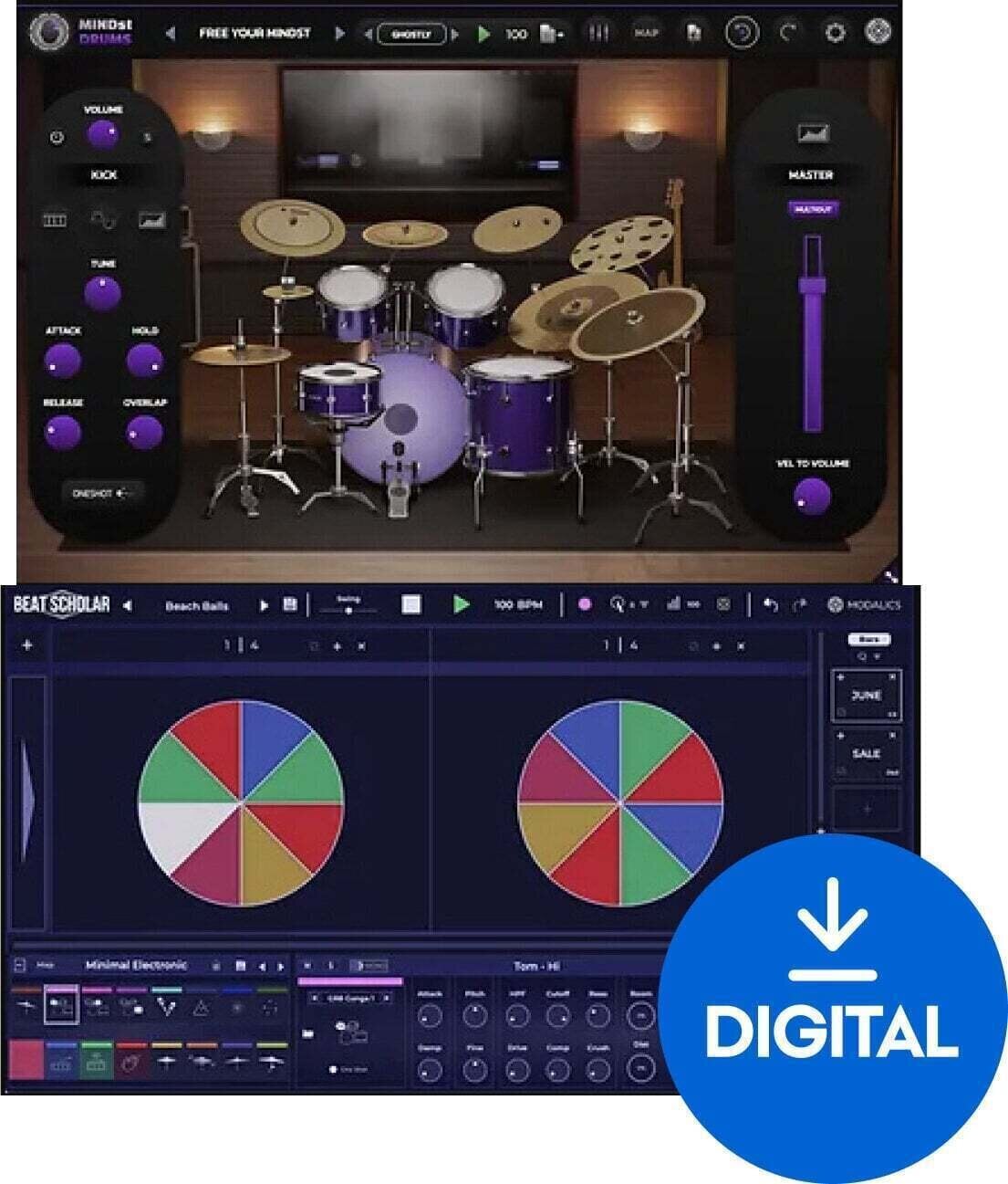 VST Instrument Modalics Groove Mastery Bundle (Digitalni proizvod)