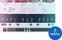 VST Instrument UJAM Usynth 2080 (Producto digital)