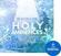 Zvočna knjiga za sampler Soundiron Holy Ambiences (Digitalni izdelek)
