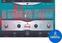 VST Instrument UJAM Rowdy 2 (Producto digital)