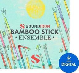 Sample/Sound Library Soundiron Bamboo Stick Ensemble (Digital product)