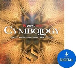 Sample/Sound Library Soundiron Cymbology (Digital product)