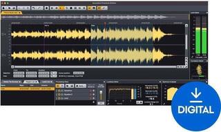 Programinės įrangos įvaldymas Acon Digital Acoustica Premium Edition 7.x (Skaitmeninis produktas)