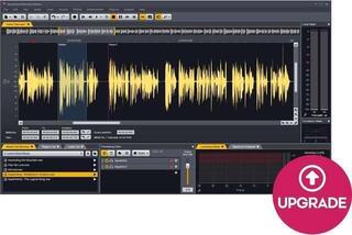 Update / Upgrade / Expansion Acon Digital Acoustica Premium Edition UPG from Standard (Producto digital)