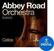 Zvočna knjiga za sampler Spitfire Audio Abbey Road Orchestra: Cellos Professional (Digitalni izdelek)