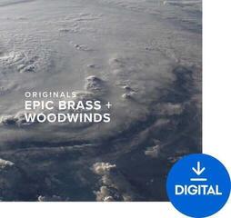 Sample/Sound Library Spitfire Audio Originals Epic Brass and Woodwinds (Digital product)