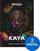 VST Instrument UJAM Kaya (Producto digital)