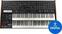 VST Instrument Cherry Audio P-10 Synthesizer (Producto digital)