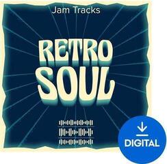 Sample/lydbibliotek Roland Retro Soul (Digitalt produkt)