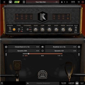 Procesador de efectos de complemento de software KUASSA Amplifikation Rectifor (Producto digital) - 1