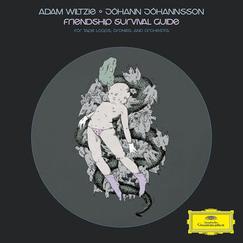 Vinyl Record Adam Wiltzie & Jóhann Jóhannsson - Friendship Survival Guide (180 g) (LP) - 1