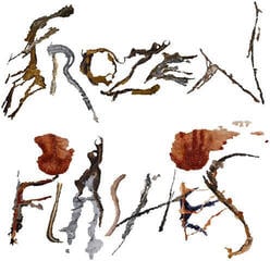 Disc de vinil Okvsho - Frozen Flashes (Cream White Coloured) (LP)
