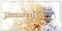 Flag / Poster Megadeth Megadeth Decorative Sign
