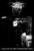 Flag / Poster Darkthrone A Blaze In The Northern Sky Textile Poster