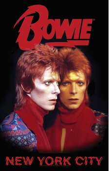 Flagg / Plakat David Bowie New York City Tekstilplakat - 1