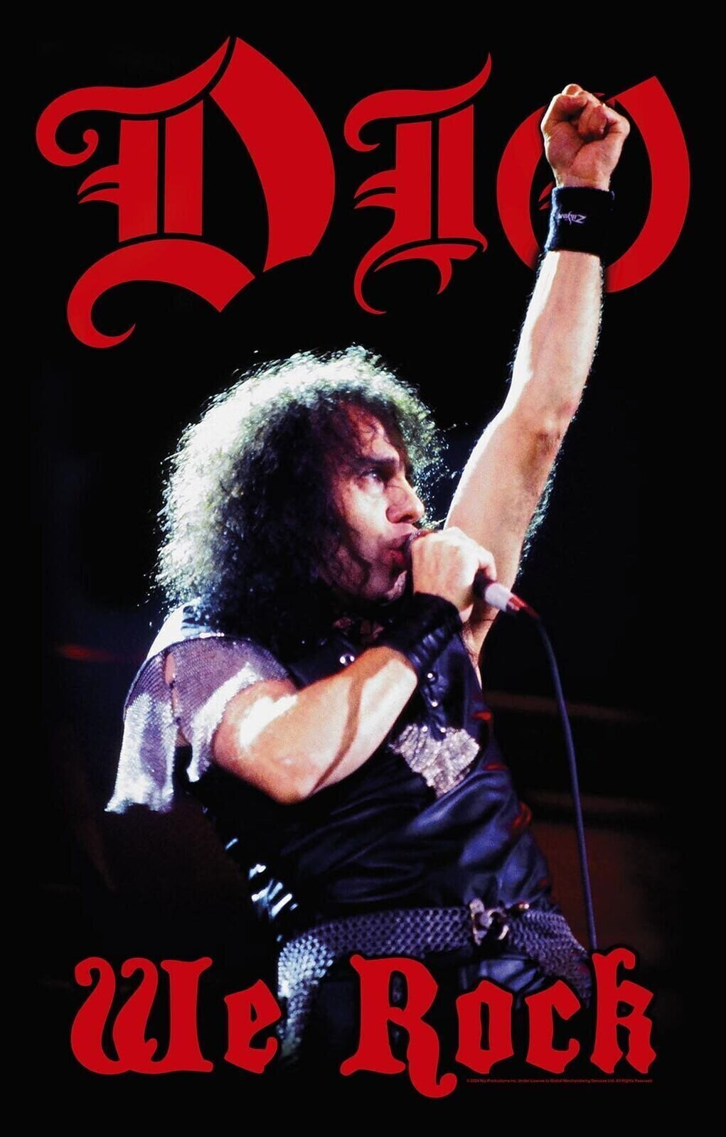 Vlajka / Plakát Dio We Rock Textilní plakát