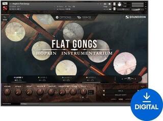 Soundlibraries für Sampler Soundiron Hopkin Intrumentarium: Flat Gongs (Digitales Produkt)