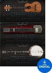 VST Instrument Ample Sound Ample 3in1 Ethno Bundle (Digitalni proizvod)