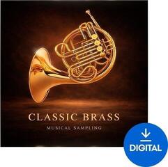 Sample/Sound Library Musical Sampling Classic Brass (Digital product)