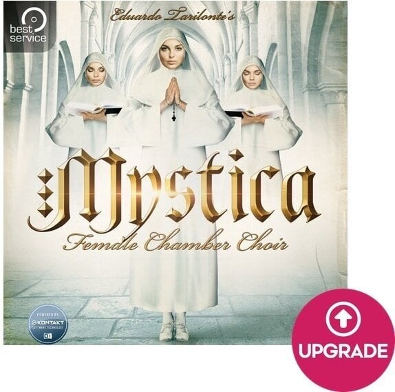 Update / Upgrade / Expansion Best Service Mystica Crossgrade (Digitaal product)