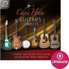 Update / Upgrade / Expansion Best Service Chris Hein Guitars Crossgrade