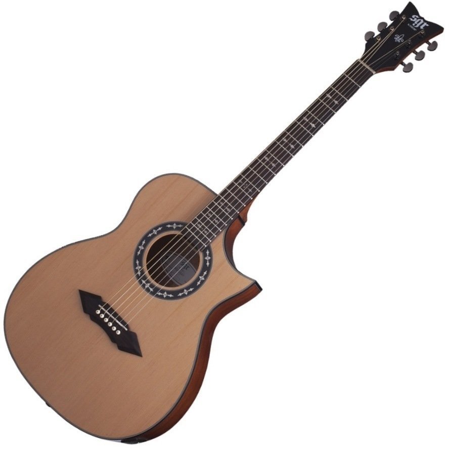 Electro-acoustic guitar Schecter SGR SA-1 GNAT