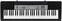 Keyboard without Touch Response Casio CTK-1550