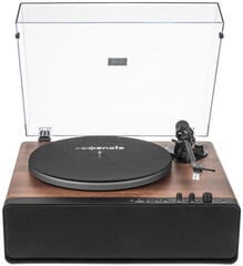 Predvajalnik Renote SpinCore AutoBelt BT AT-3600L Stereo Walnut Predvajalnik