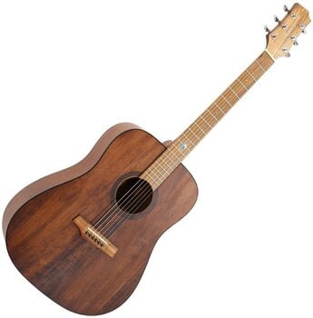 Guitare acoustique Randon RGI-10VT Guitare acoustique - 1