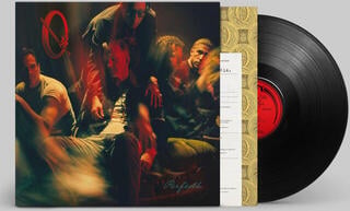 LP ploča Queens Of The Stone Age - Perfecth (LP)